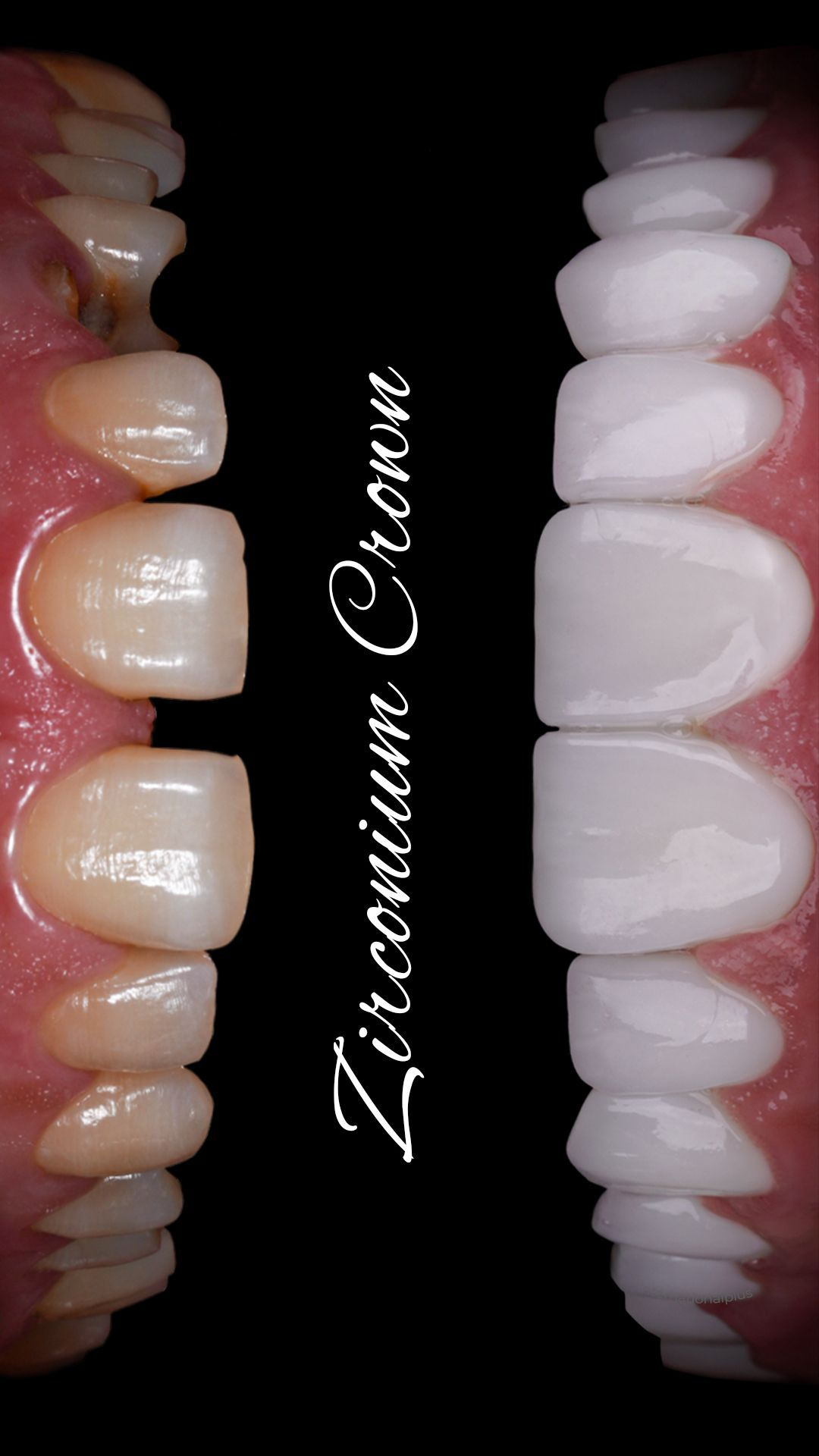 WhatsApp Image 2025-03-19 at 11.52.09 AM