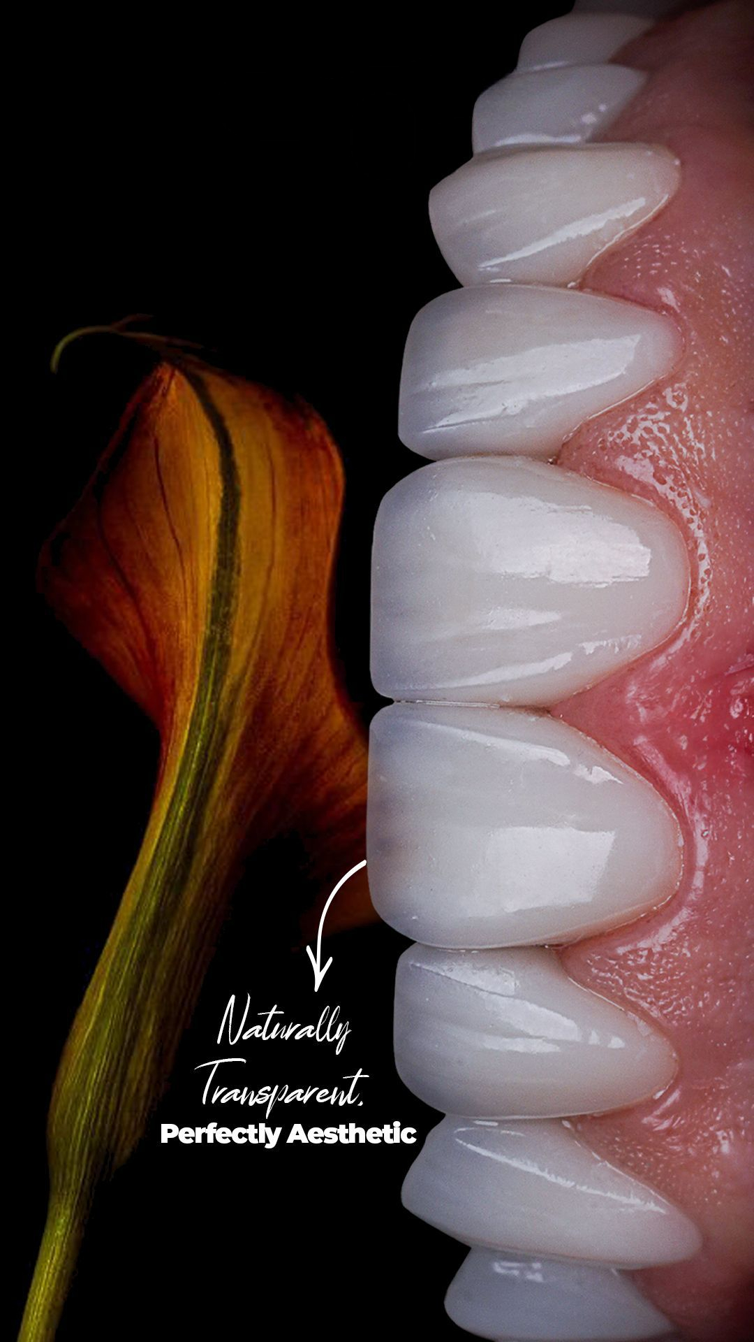 WhatsApp Image 2025-03-20 at 4.39.36 PM